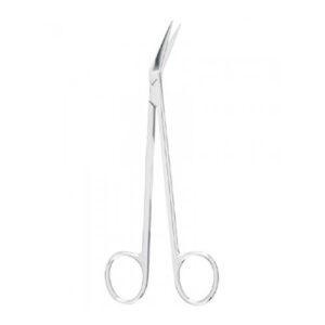 Kelly Scissors